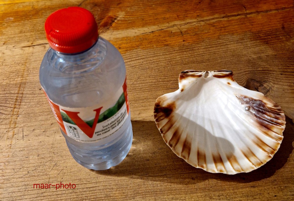 becel_maryvonne's tweet photo. Ceci est un Kdo cette 33cl de Vittel
m´a été offerte par VÉOLIA sur un event pour emmener chez moi. Je ne vais pas être pauvre chez 
MERCEDES VÉOLIA  a été dans la course au large et dans les régates sauf erreur. 
#veolia #vittel #courseaularge #regates https://t.co/1irTiGmcPL