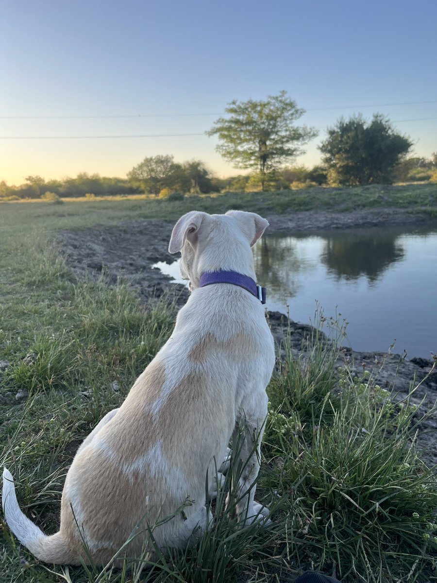 M1973Diego's tweet image. Hoy fue su primera vacuna 🥺