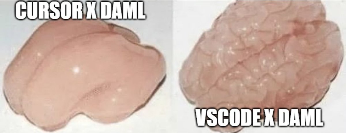 大家一起来参与最新活动！
制作程序员MEME，加入DAML元素，加入下方tag。
然后提交DC频道，即可获得神秘角色🤫+ 100 CXP！
#CodeYourMeme <a href="/CantonNetwork/">Canton Network</a>