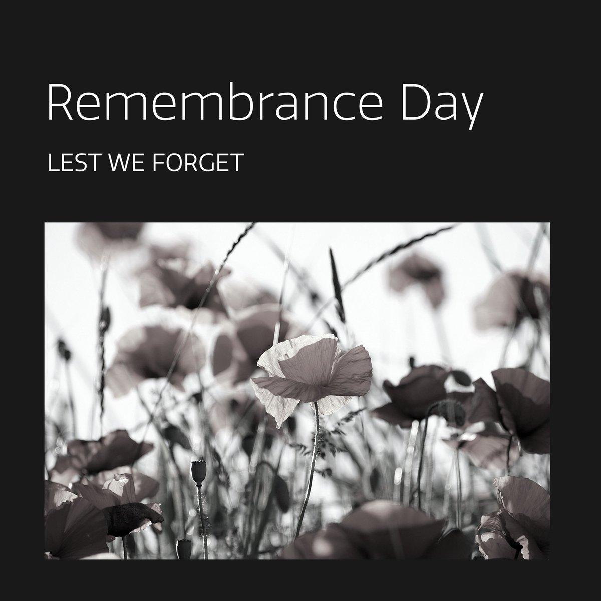 F1Solutions_AUS's tweet photo. F1 Solutions joins all Australians today to honour the courage, sacrifice, and service of those who have defended our nation. 

We remember and pay tribute to those who gave their lives in service.

Lest we forget.

#RemembranceDay #LestWeForget #F1Solutions https://t.co/OIqOuLvsVk