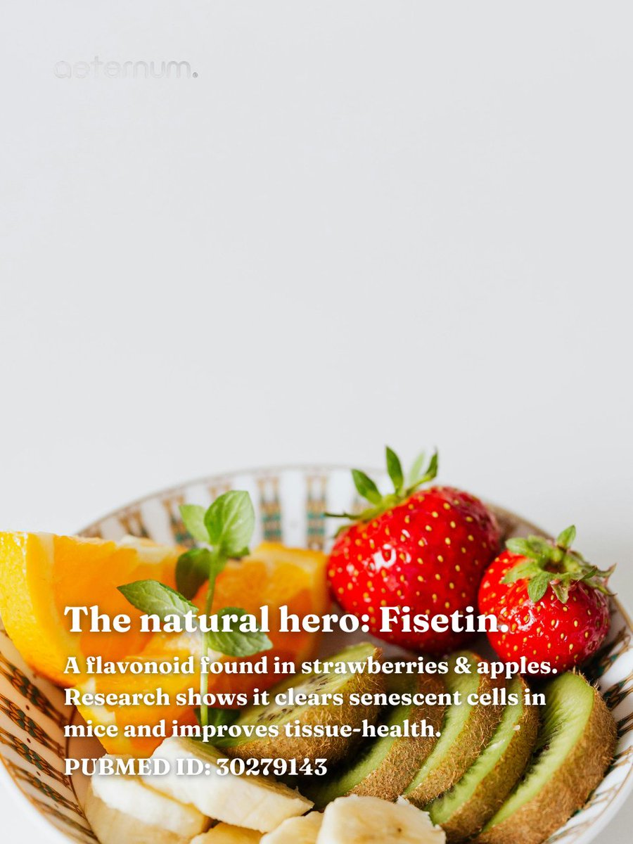 aeternumcompany's tweet image. 🧬 Fisetin, found in strawberries &amp;amp; apples, clears “zombie” cells that speed aging ✨ Boost energy &amp;amp; longevity naturally. 🌱 Follow us &amp;amp; visit our site! #Fisetin #HealthyAging #BiohackingHealth