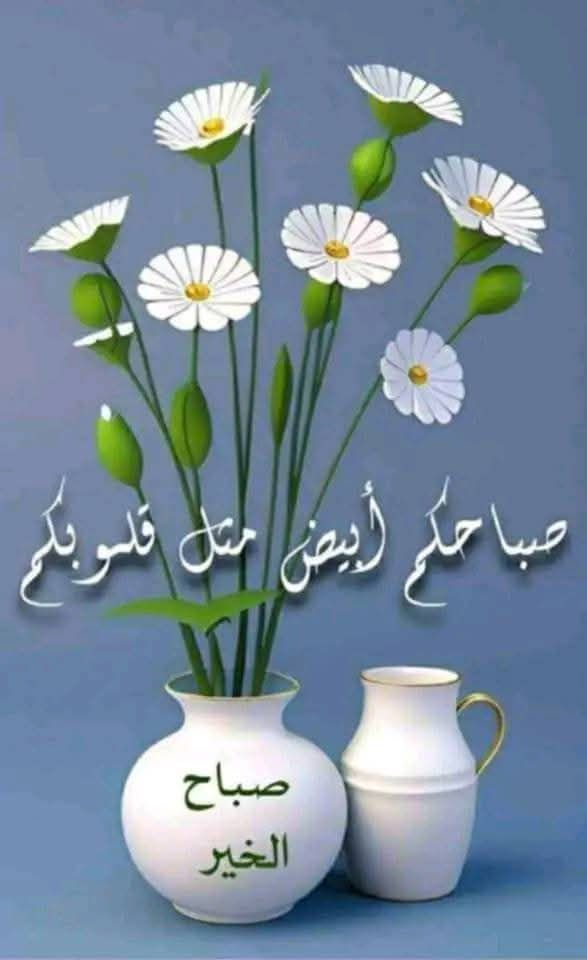 تذوقوا جمال الصباح 
تلمسوا فيه مايثير في قلوبكم الإرتياح 
تنفسوا منه حب الحياة 
وافتحوا نوافذ الأمل والتفاؤل 
فالقليل من التفاؤل كل صباح 
قد يصنع ألف طريق للسعادة 
صباح الخير والسعادة والسرور 
🤍