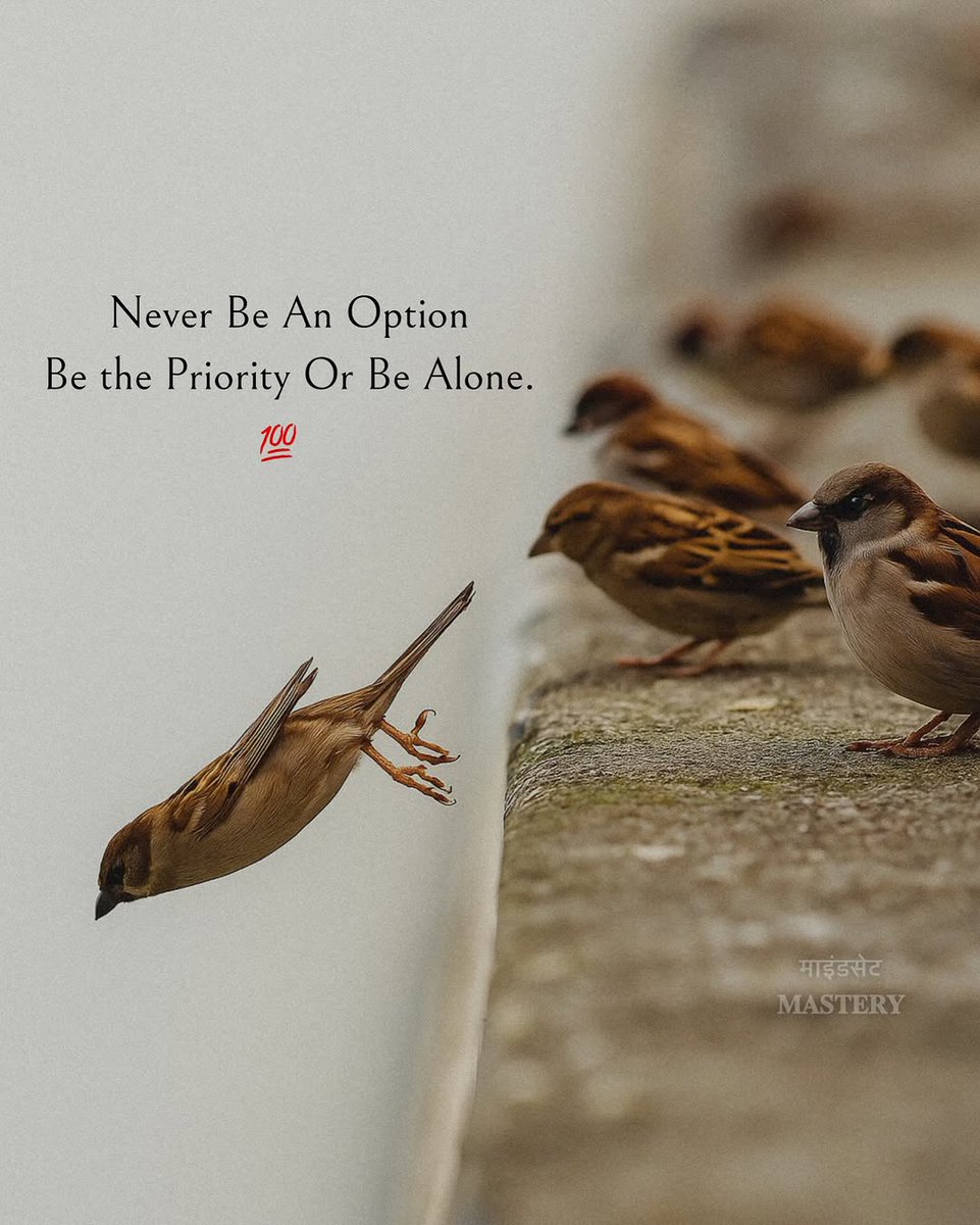 Mind Essentials (@mind_essentials) on Twitter photo 