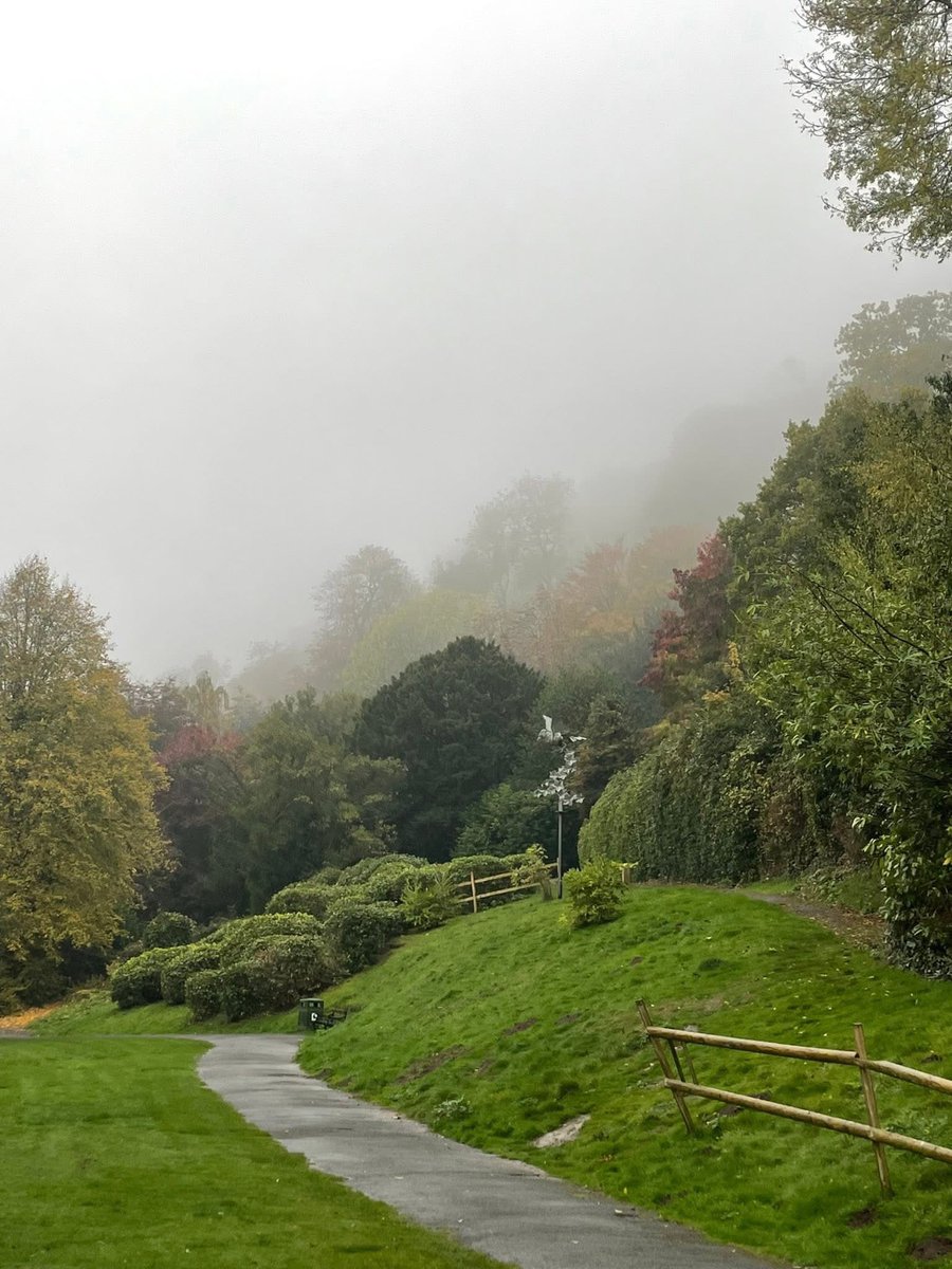 BlueJoe15's tweet image. New episode. Bought a house in this economy 😬

Life in Malvern awaits!! 💛