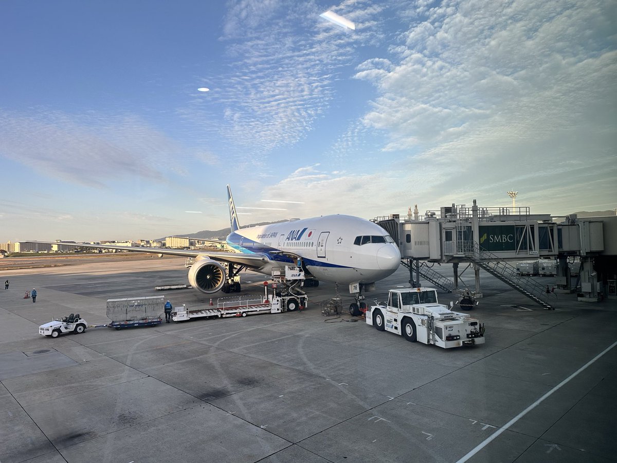 まいまい335 (@maimini74) / Posts / X