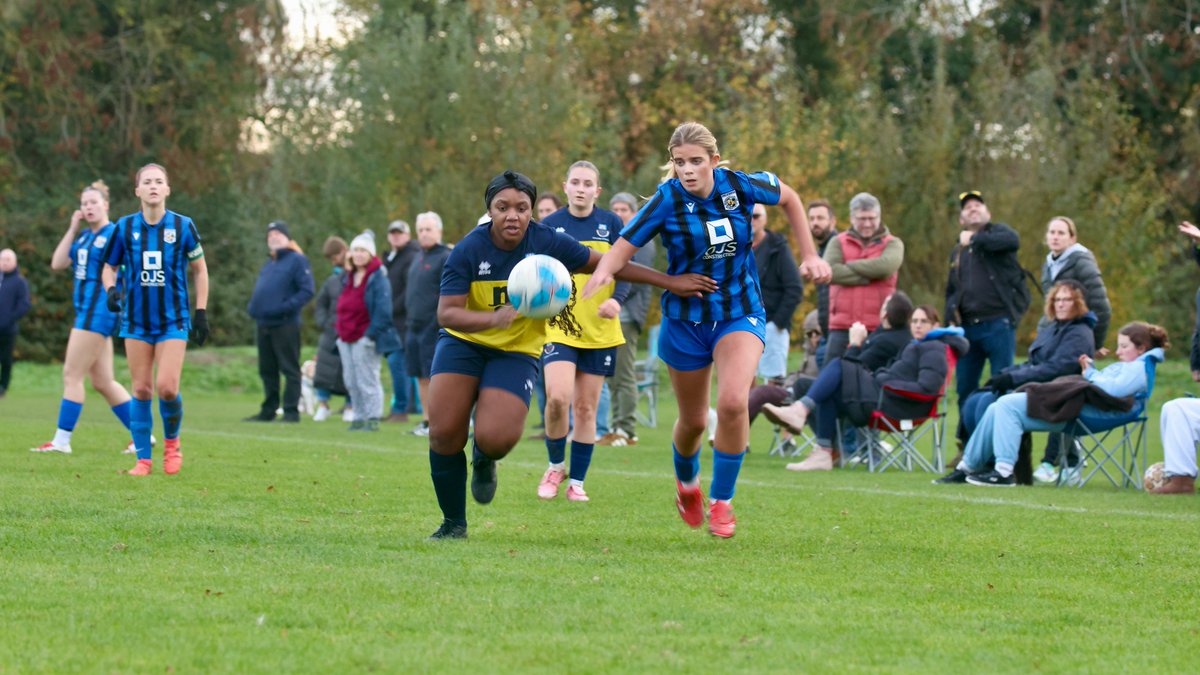 Hardy Scott Photo's tweet media