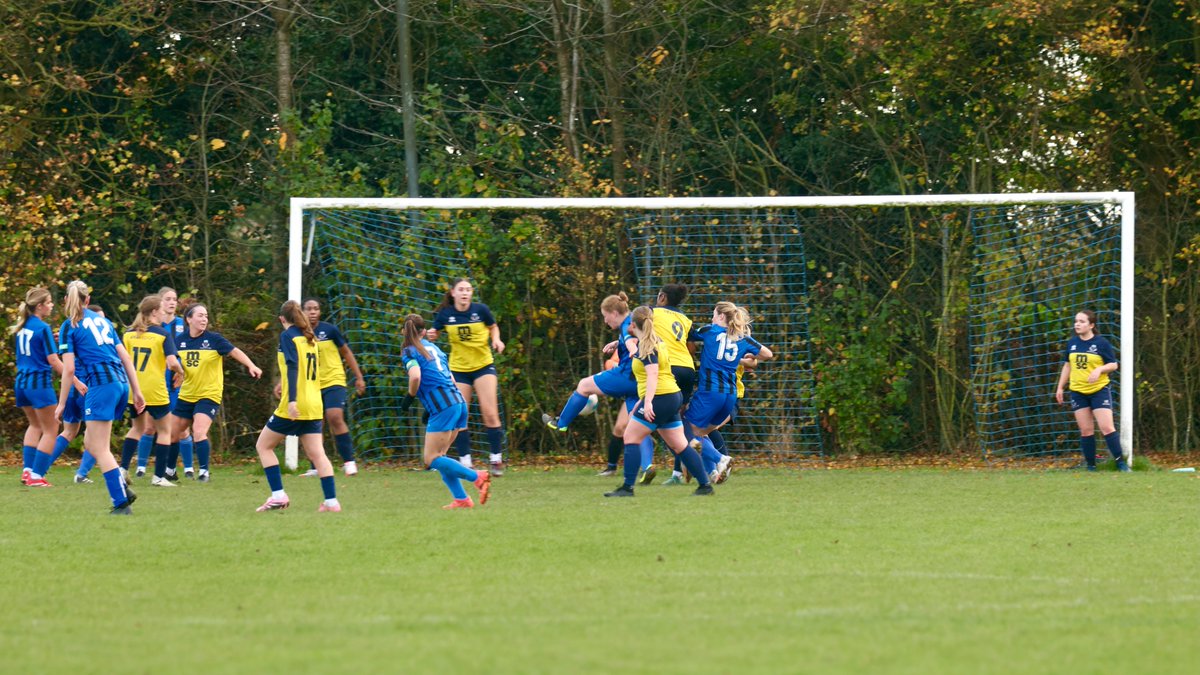 Hardy Scott Photo's tweet media