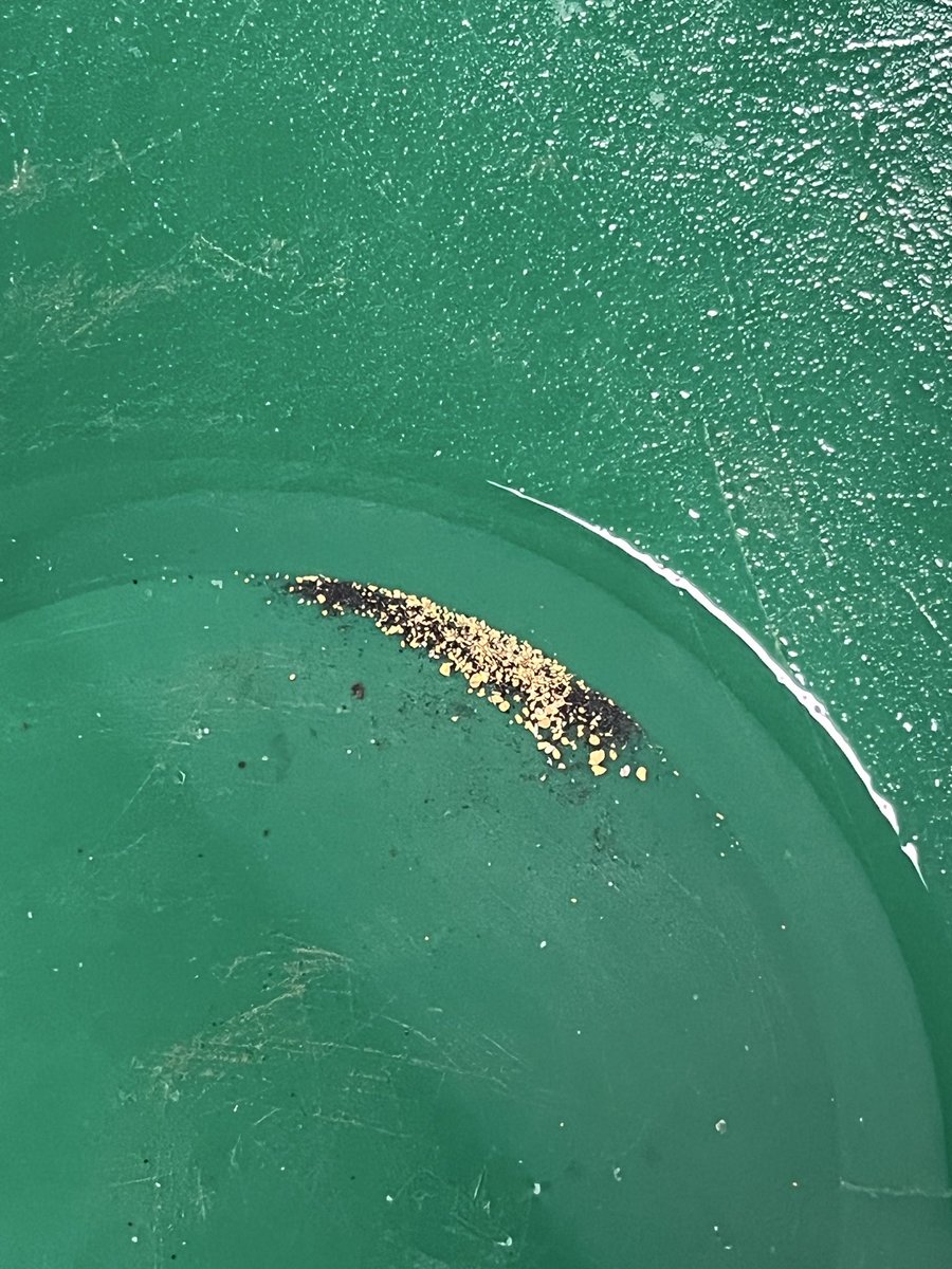 0xtechnerd's tweet image. GOLD !