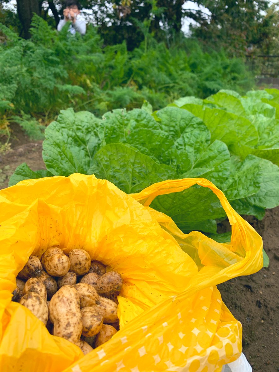 はげまる (@hagemaru_nara) / Posts / X