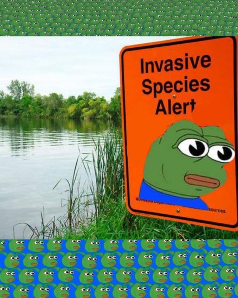 Sergeant CC tweet media