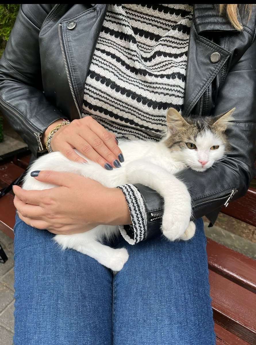 Evimde doğan üç minikten biri. Şimdi ergen oldu🙂