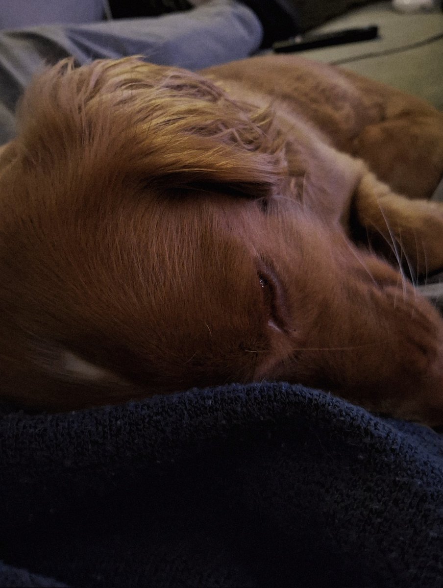 HaychAF's tweet image. finally, no more fireworks