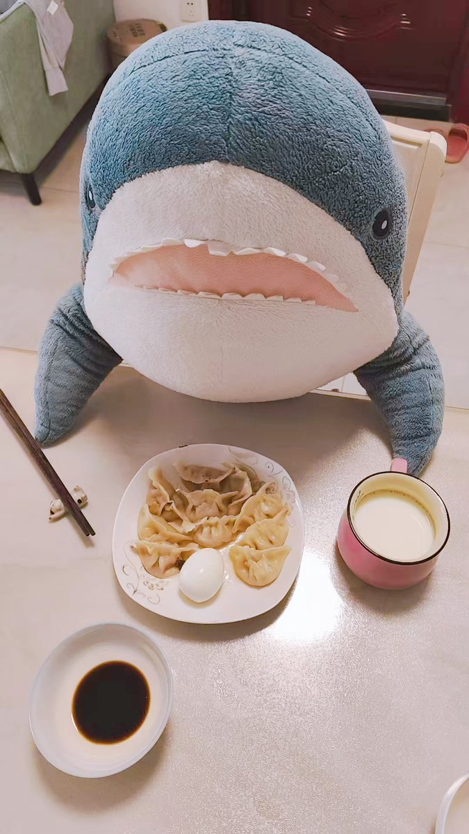 meshi_same's tweet image. おはさめ！🦈
蒸し餃子食べるよ