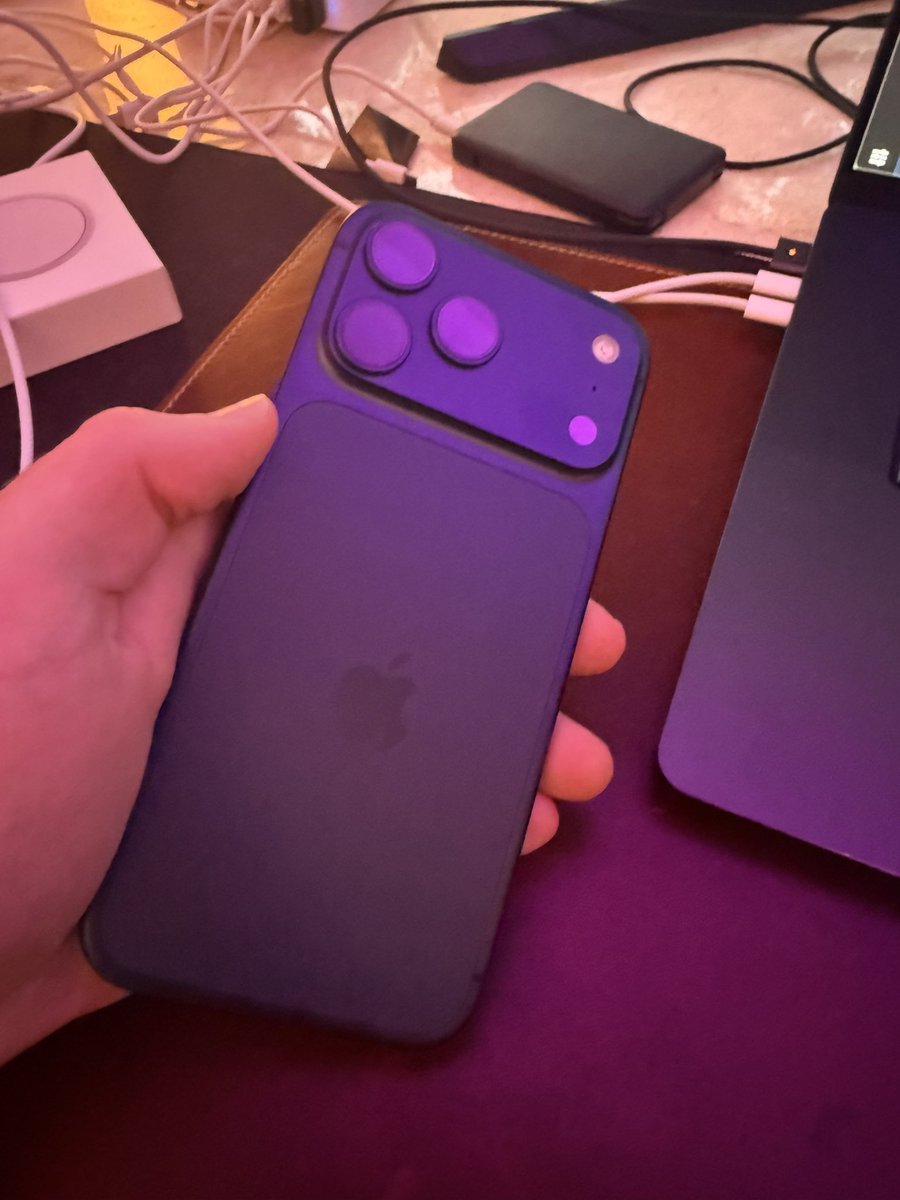 Beaver 🦁 tweet media