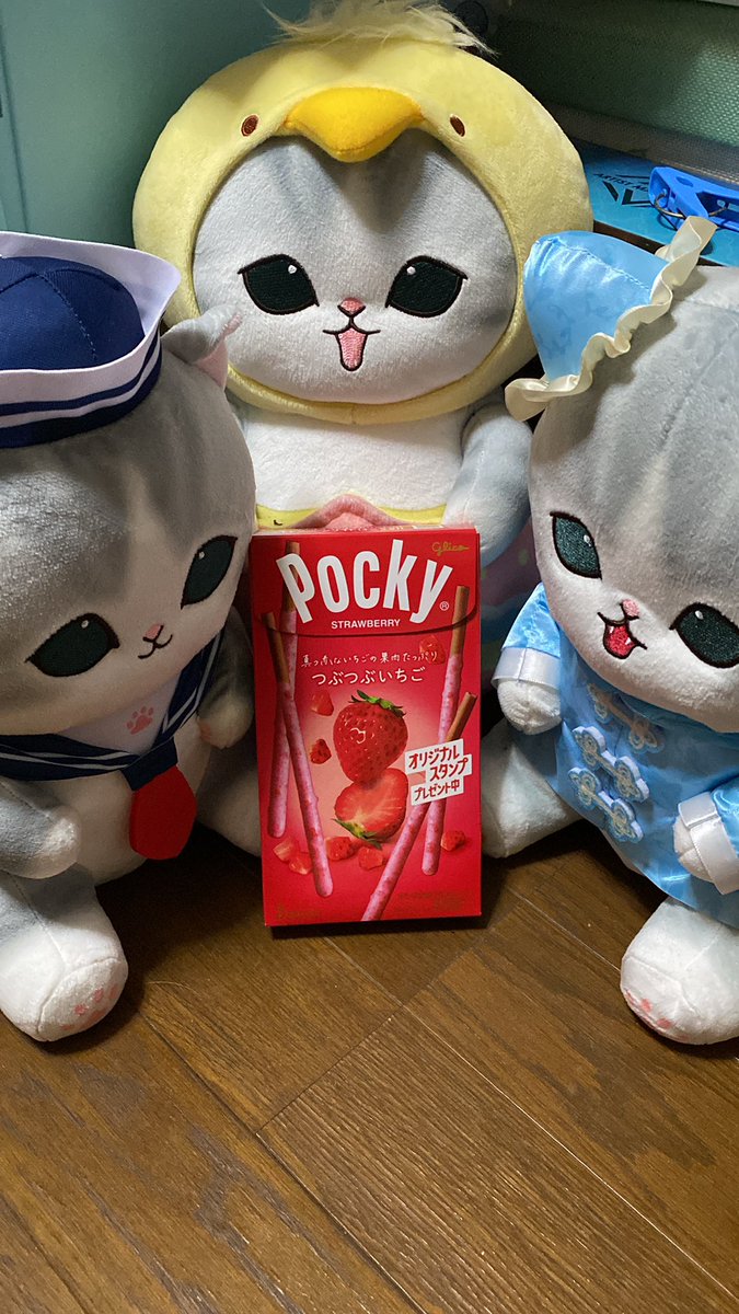 てつや (@kapo_neko) / Posts / X