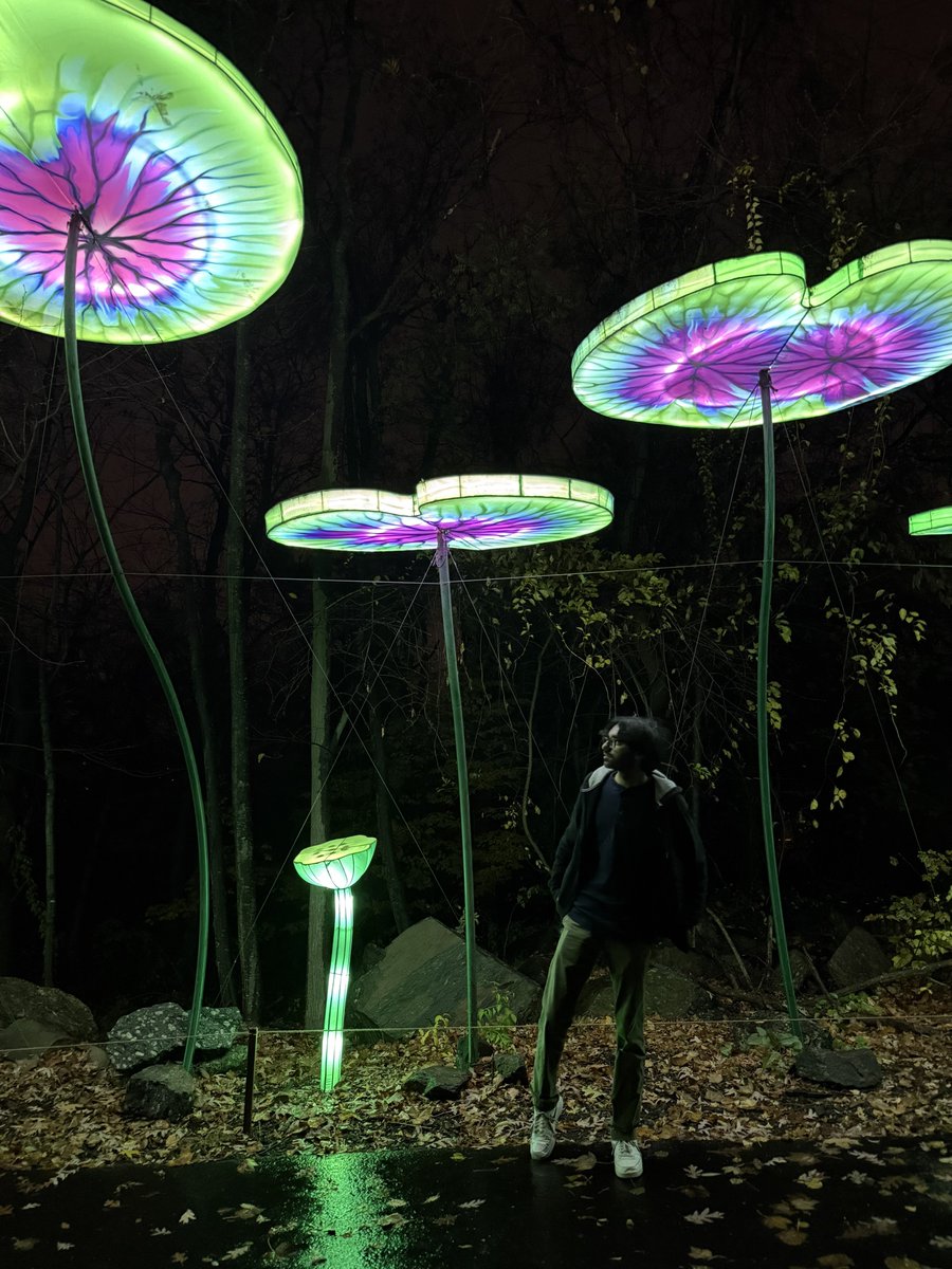 Pulse Bop tweet media