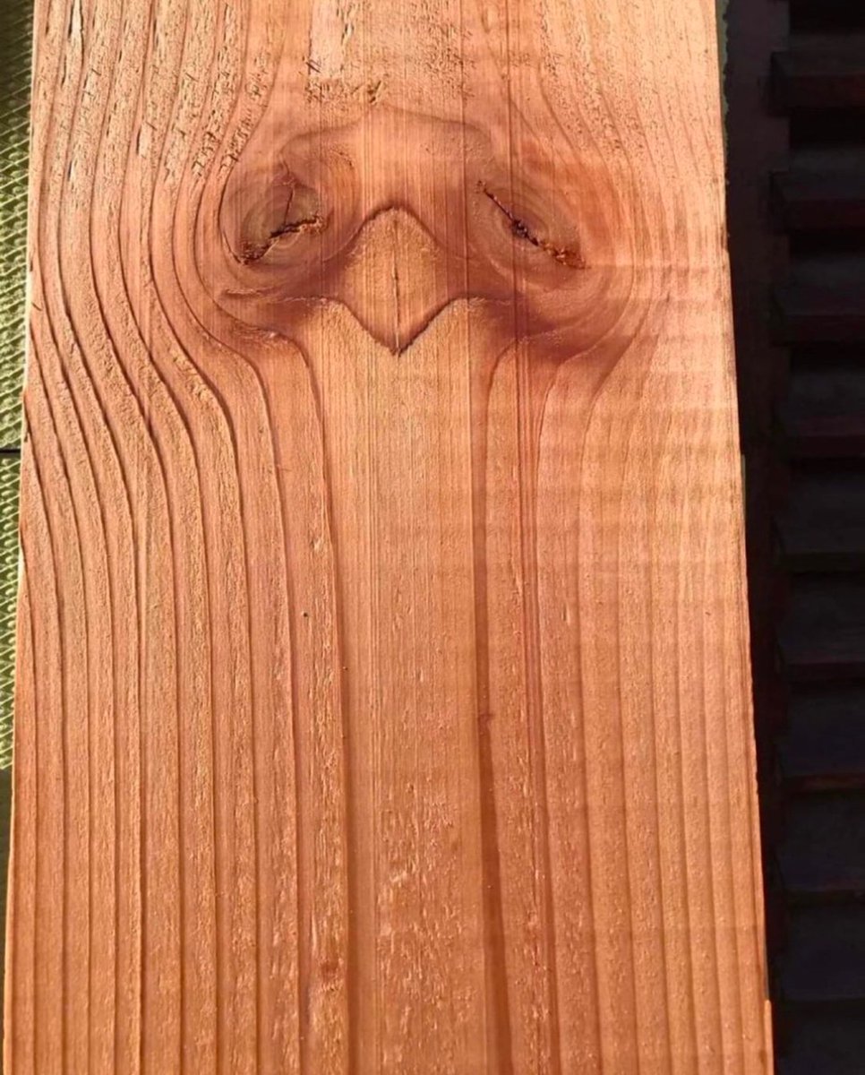 Out of Context Human Race tweet media