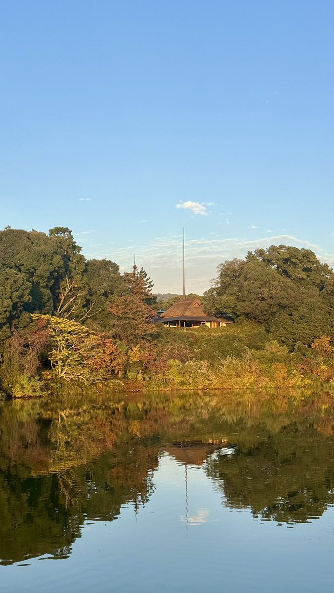 bobma_san's tweet photo. 2025年11月11日 火曜日

おはようございます

スッキリ秋晴れの朝空
寒いけど気持ち良くウォーキング出勤です https://t.co/ldzhQS6FjX