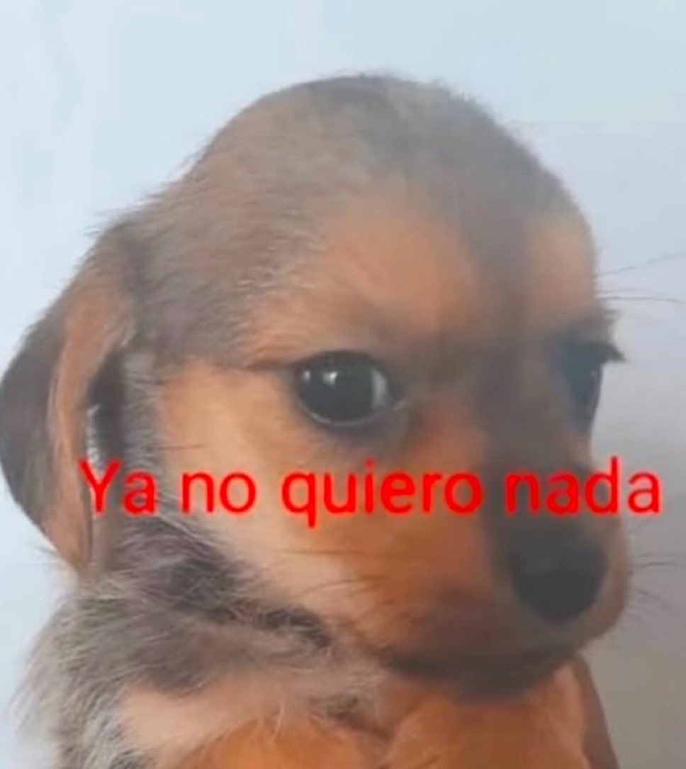 fake cinephile tweet media