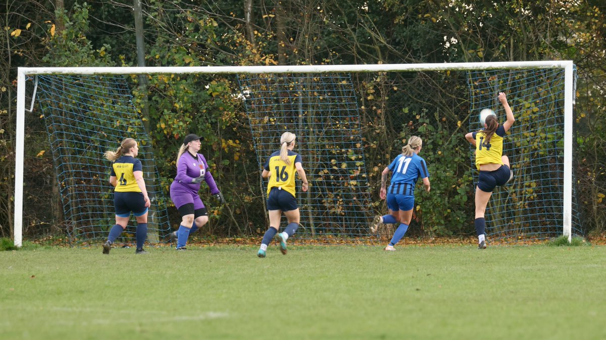 Hardy Scott Photo's tweet media