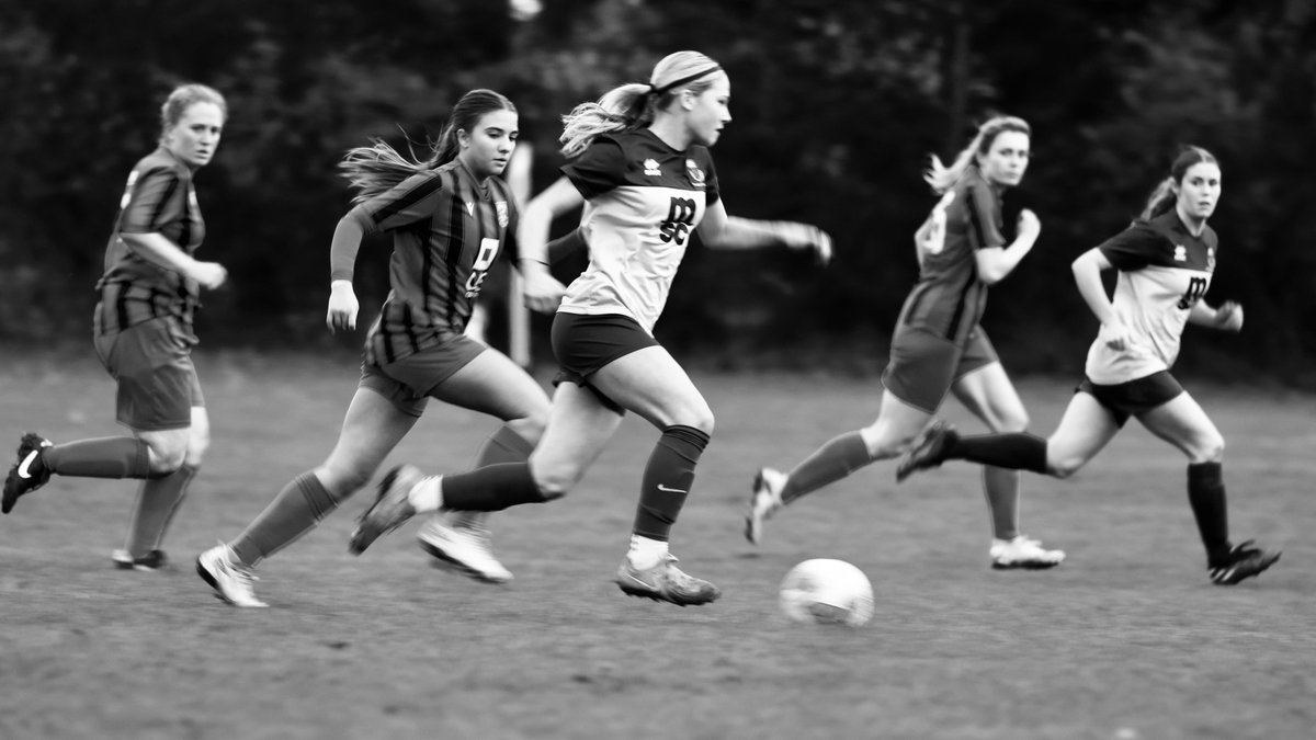 Hardy Scott Photo's tweet media