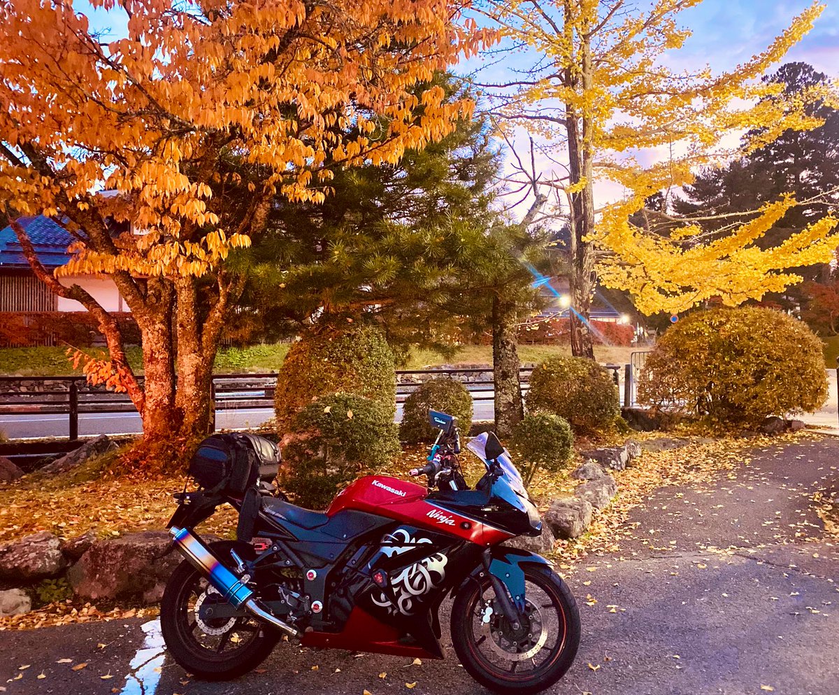 mimi( ◔︎㉦◔︎ ) (@mimi_mimi250) / Posts / X