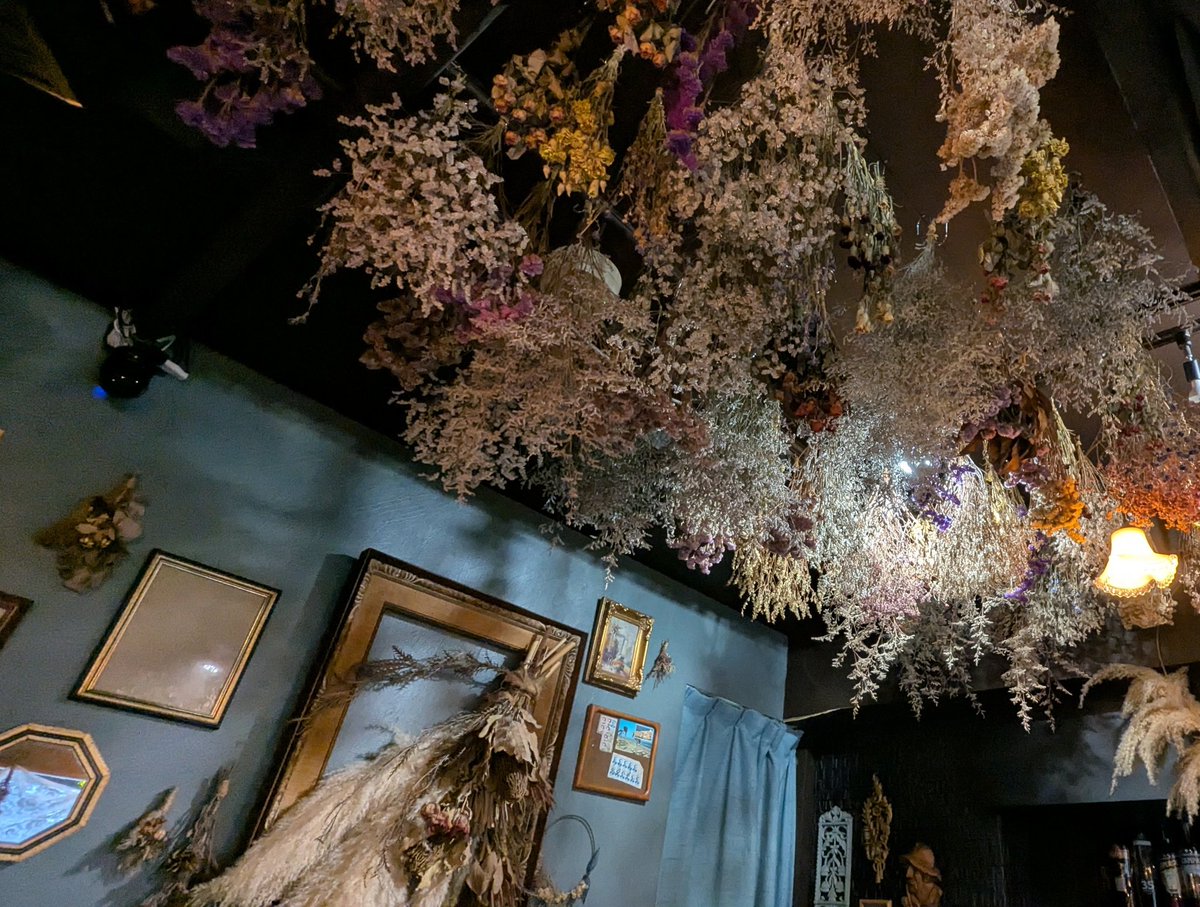 a_p_r_i_c_0_t_'s tweet image. サモちゃんと奇跡のopus併せ💐
たぶん私たちの服や持ち物を見て、ごはん上の🌼の色を選んでくれた気がする🥰
今度はクリームソーダ目がけて行きたい😌✨