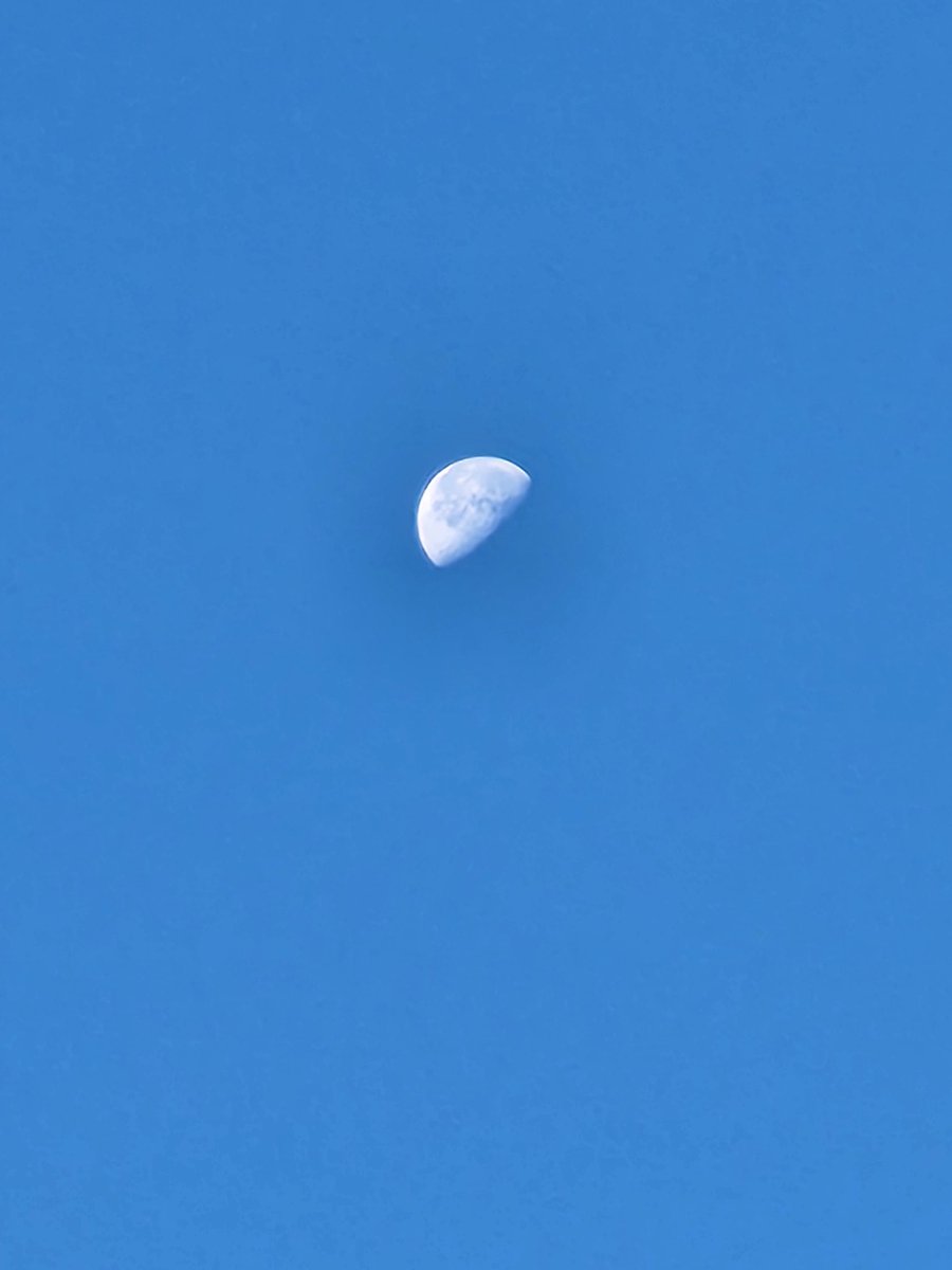 金隠師 サマ♡11点 金隠師 サマ♡11点 Light Novel Volume 4 | Shinja Zero no Megami-