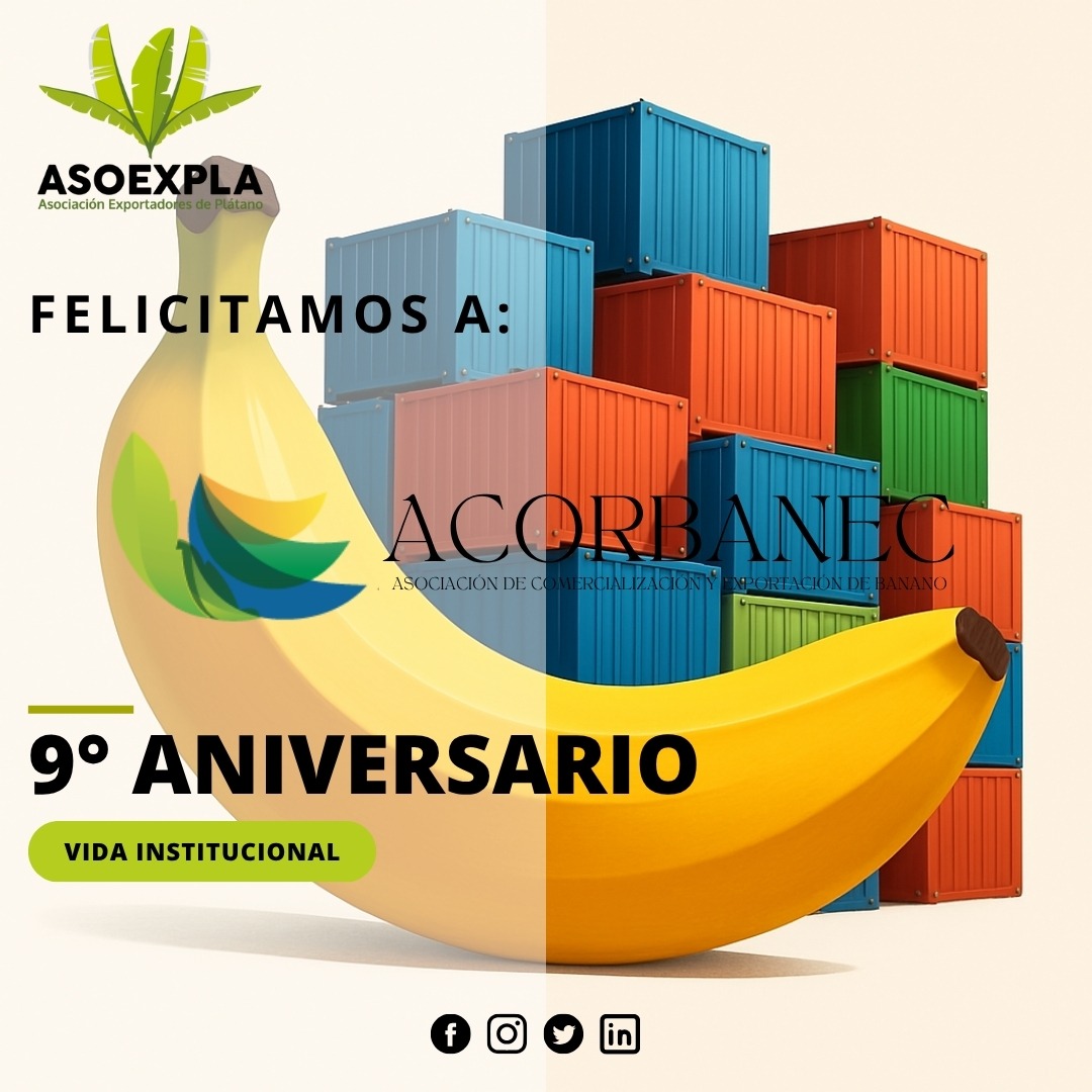 Felicitamos a <a href="/acorbanec/">Acorbanec</a> por sus 9 años de vida institucional 🍌🇪🇨
Su compromiso con la competitividad y sostenibilidad del sector bananero fortalece a todo el agro ecuatoriano.

#ACORBANEC  #EcuadorExporta #SectorBananero