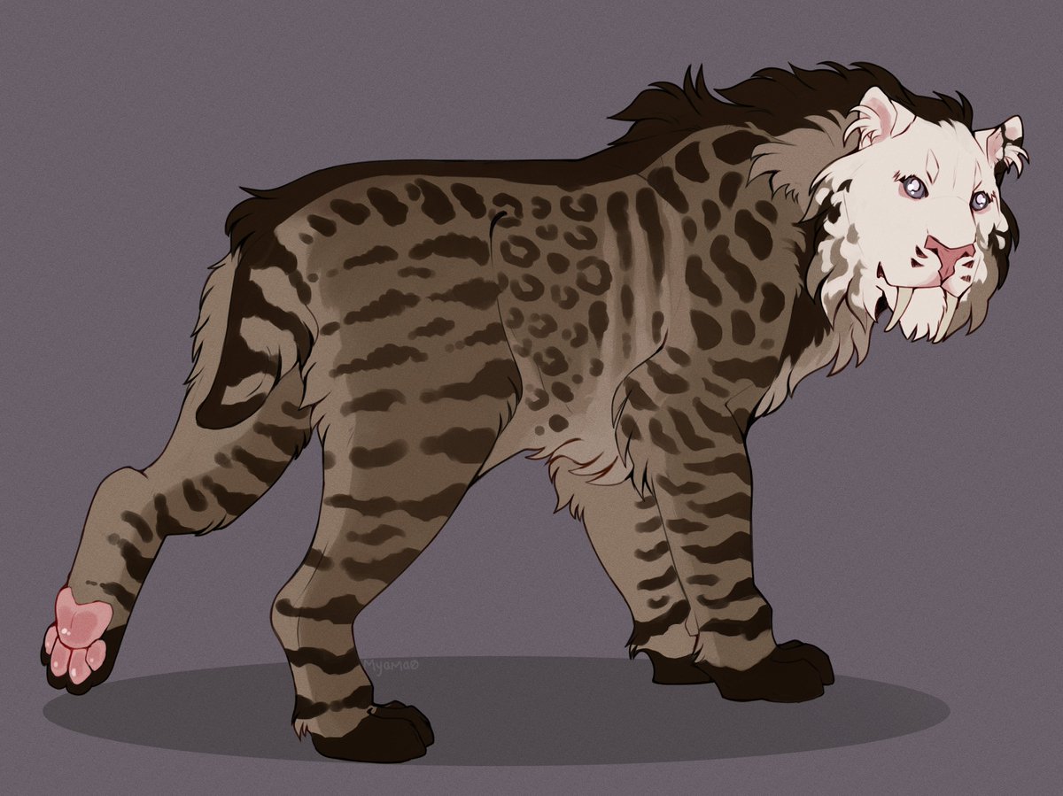 mya comms open! tweet media