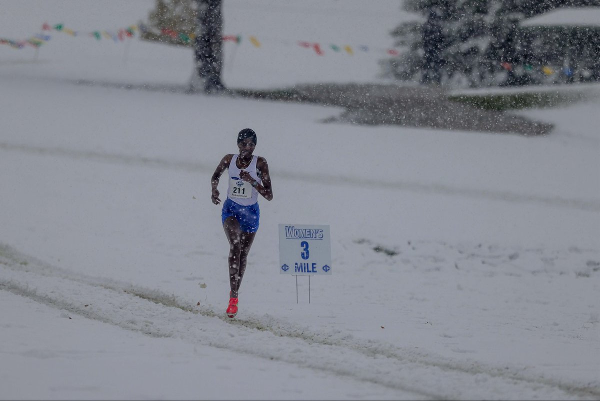 Jafet Molinares tweet media