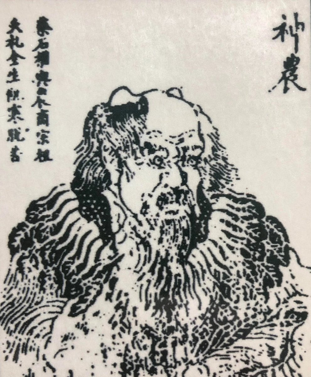 notcelon's tweet image. 