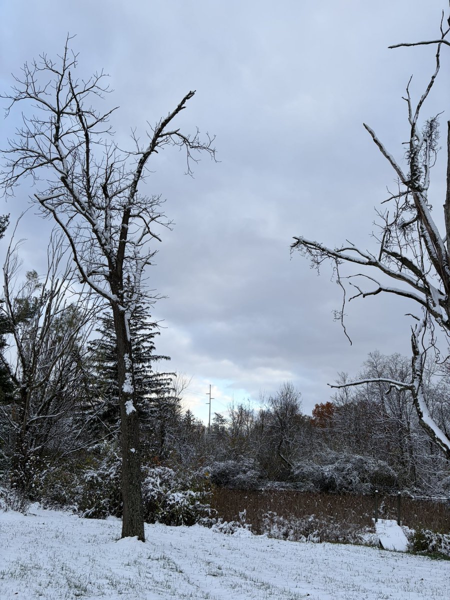 desolangels's tweet image. 