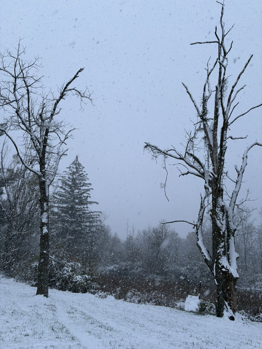 desolangels's tweet image. 