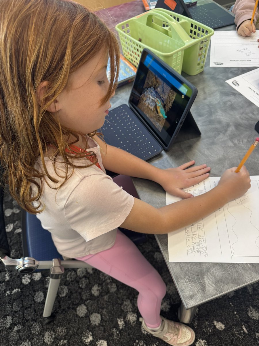 MohawkReads's tweet image. Today in 2nd grade we read Mel Fell, researched kingfishers on PebbleGo, and turned their facts into fun ChatterPix creations! 🐦💬✨
#MohawkReads #LibrariesInRISD #RISDDreamBig