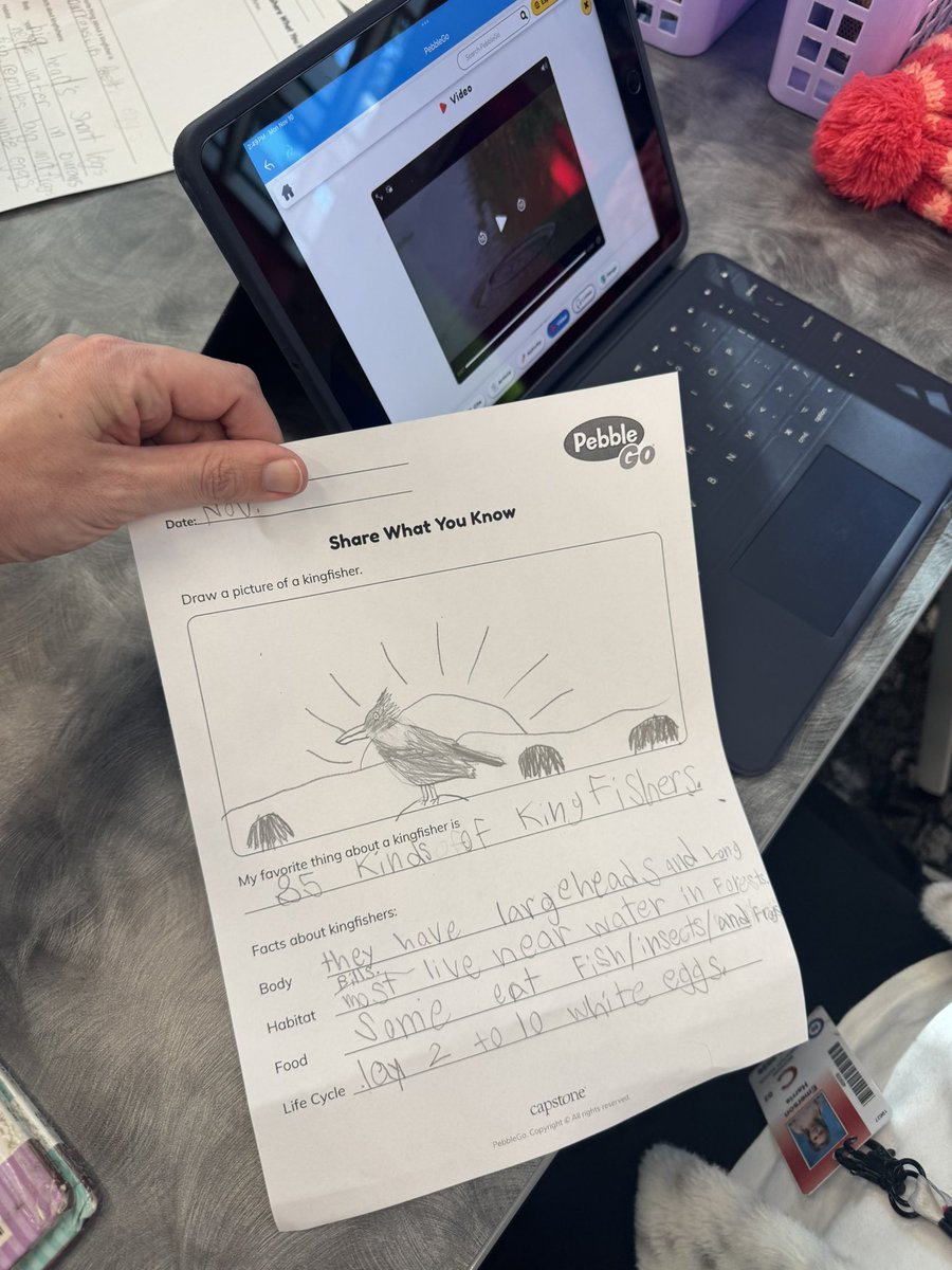 MohawkReads's tweet image. Today in 2nd grade we read Mel Fell, researched kingfishers on PebbleGo, and turned their facts into fun ChatterPix creations! 🐦💬✨
#MohawkReads #LibrariesInRISD #RISDDreamBig