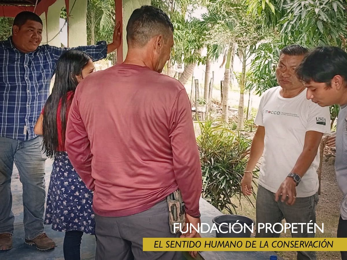 ProPeten's tweet photo. 💚🌍  En Fundación ProPetén seguimos sembrando sostenibilidad. El abono orgánico cuida la tierra y el hidrogel apoya a las familias ganaderas en tiempos difíciles. ¿Qué otras acciones sostenibles crees que necesitamos impulsar en Guatemala? 👇   #PeténMásSostenible https://t.co/ODcOiNeKAP