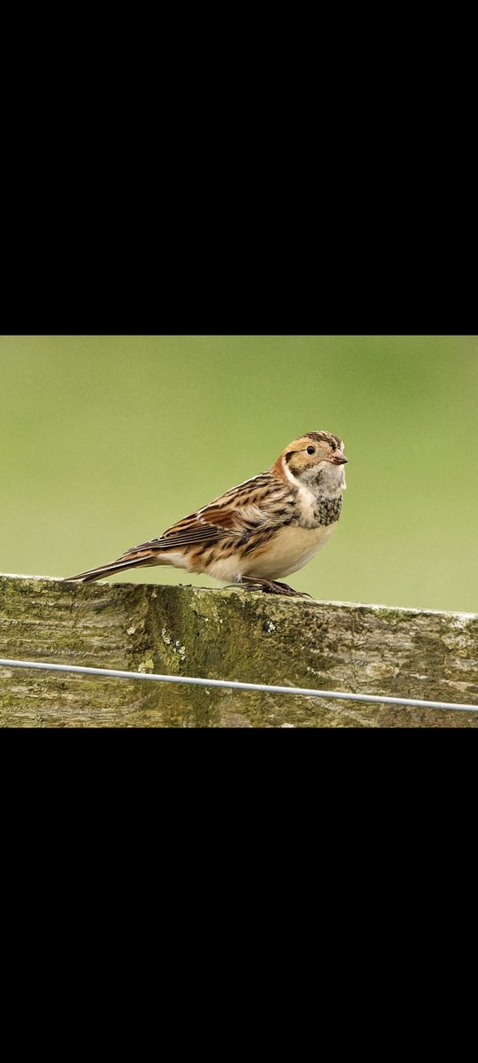 John Barber tweet media