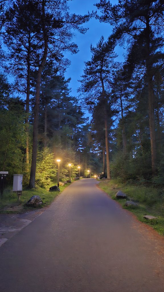 AftermathZGame's tweet image. Fun fact: We went to a lake side camp to help with the level design and to get some real-world inspiration. Would you guys like to see more behind the scenes dev log content? 🏕🔦