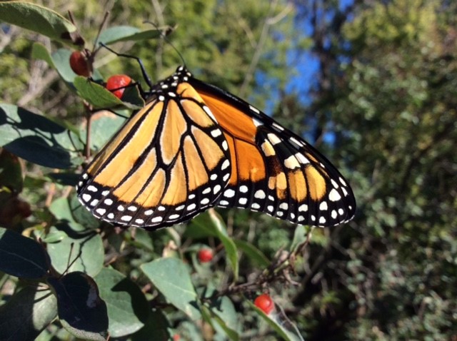 The deadline for our National Rural Health Day photo contest is approching! Join in for a chance to win a $150 gift card and to share the beauty of rural North Dakota. 

Deadline: Nov 14 at 5:00 pm Central

Details: ruralhealth.und.edu/rural-health-d…
#PowerOfRural