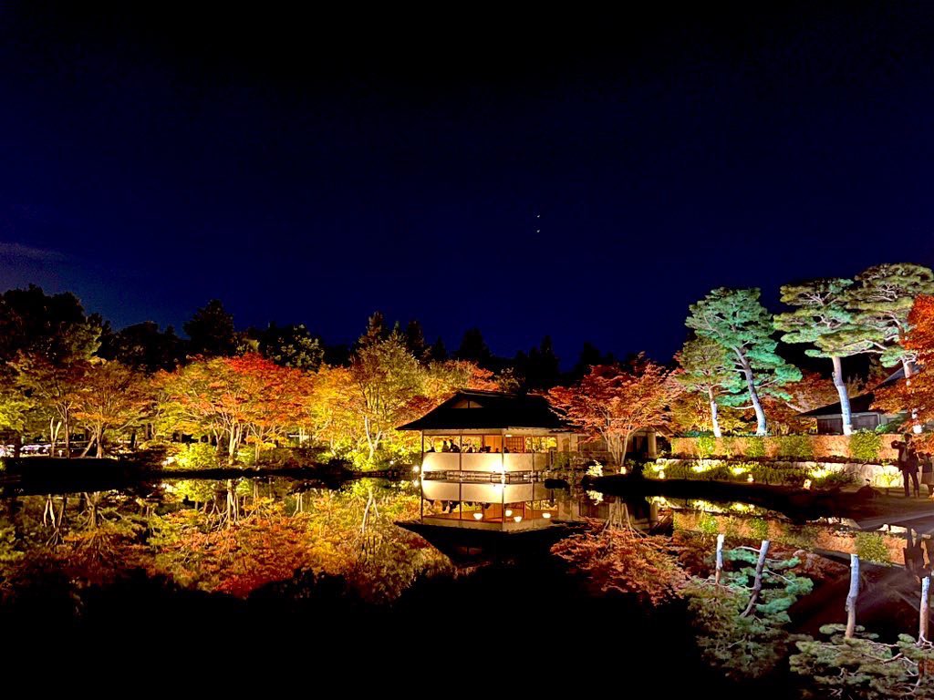 ちゃむ (@N8l7OTwweOmpuUA) / Posts / X