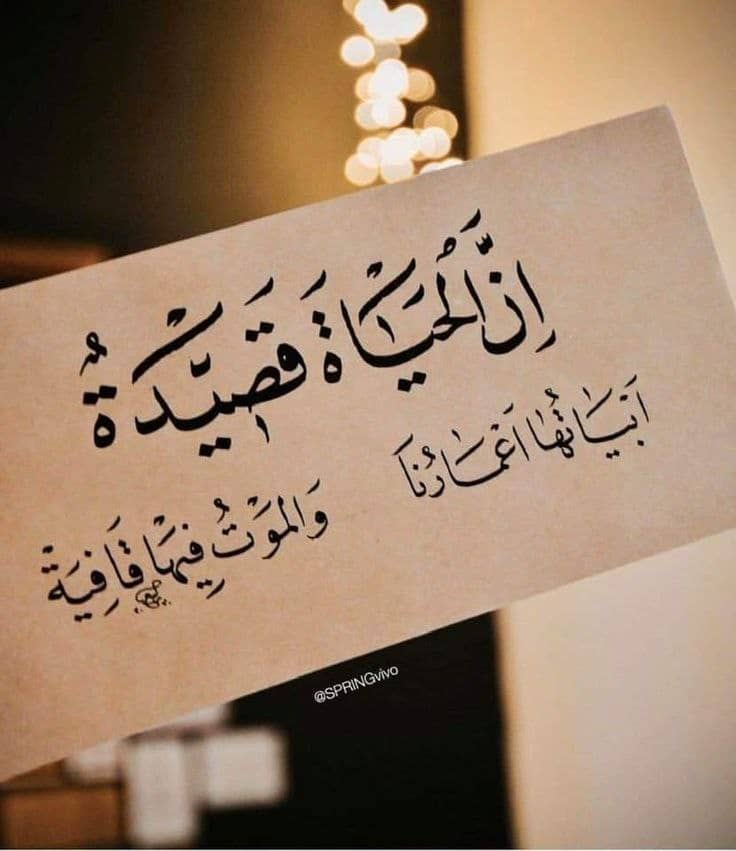 *إنَّ الإنـسـان إنـمـا جـاء إلـى الـدُّنـيـا لــ يـعـبـد ربَّـه ، ويـذنـب فـيـتـوب ، ويـخـطـئ فـيـتـعـلَّـم،ولـيـس لــ يـبـهـر أحـدًا بــ مـثـالـيَّـتـه 🥹🤍🌸*