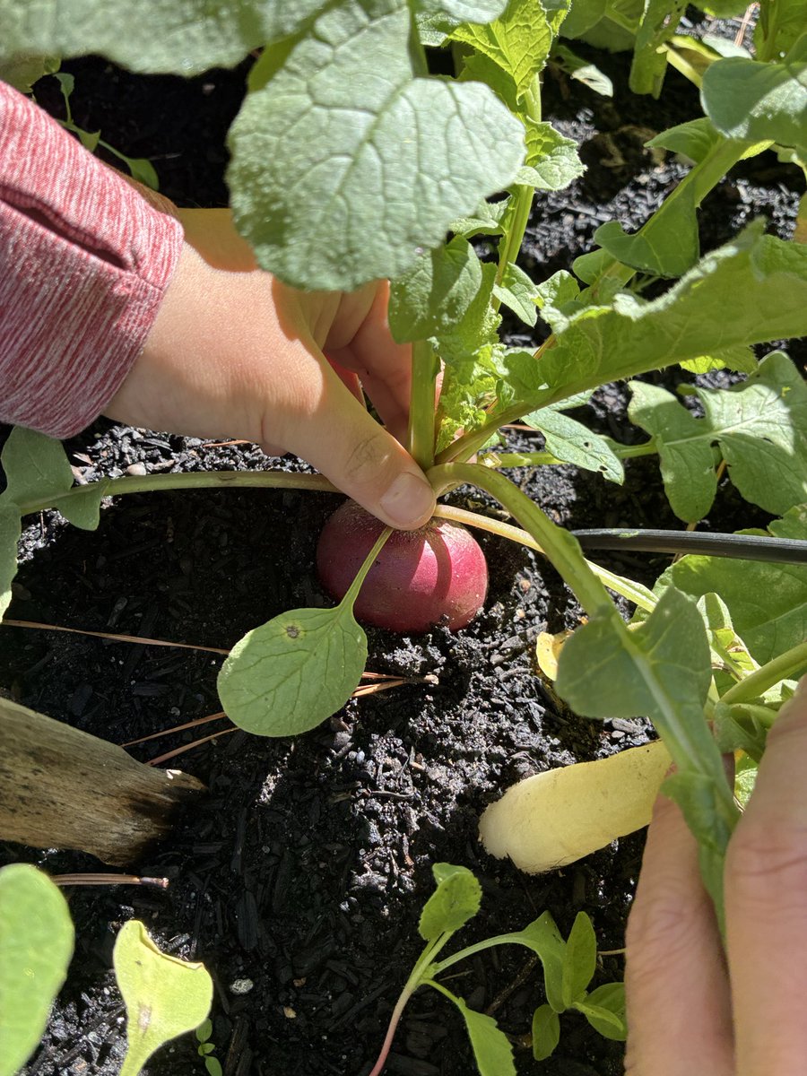 Angela Hoang tweet media