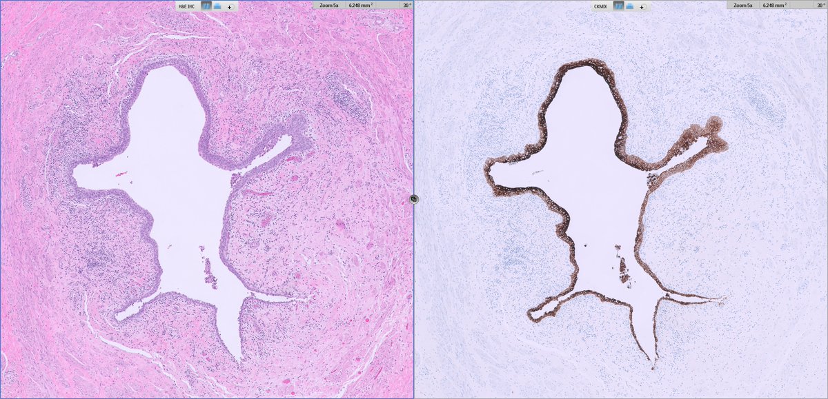 Ankur Sangoi tweet media