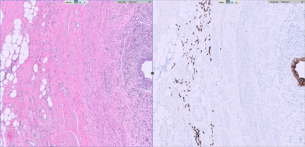 Ankur Sangoi tweet media