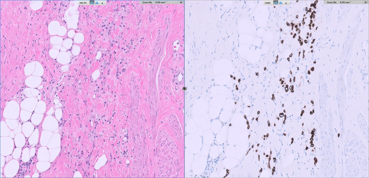 Ankur Sangoi tweet media