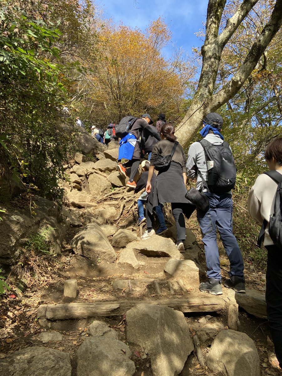 🅁🄴🄽🄾 on X