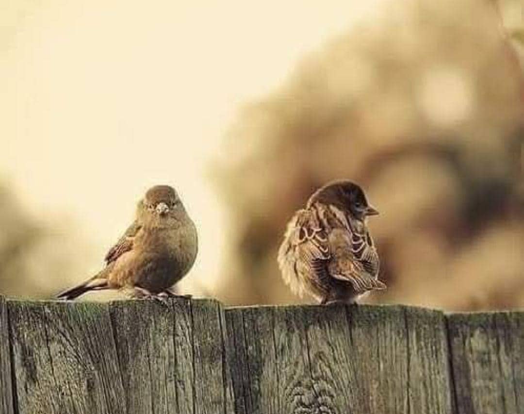 “الأسلوب دائمًا هو ما يجعلنا نكمل الحديث مع أحدهم أو نتجنبه تمامًا”