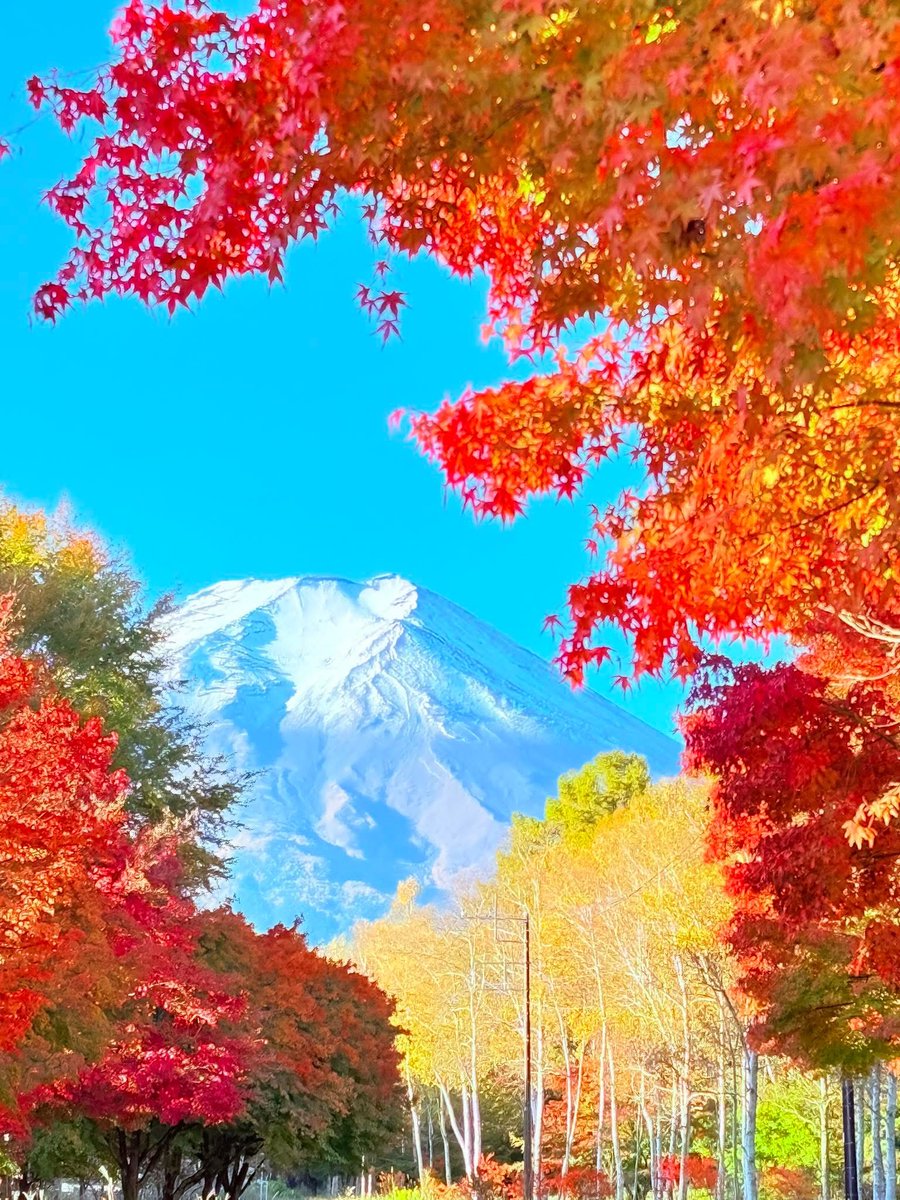 皆さん、おはようございます😺
今日も✨よろしくお願いします
朝から寒い一日ですね👋
良い一日をお過ごしください🍁