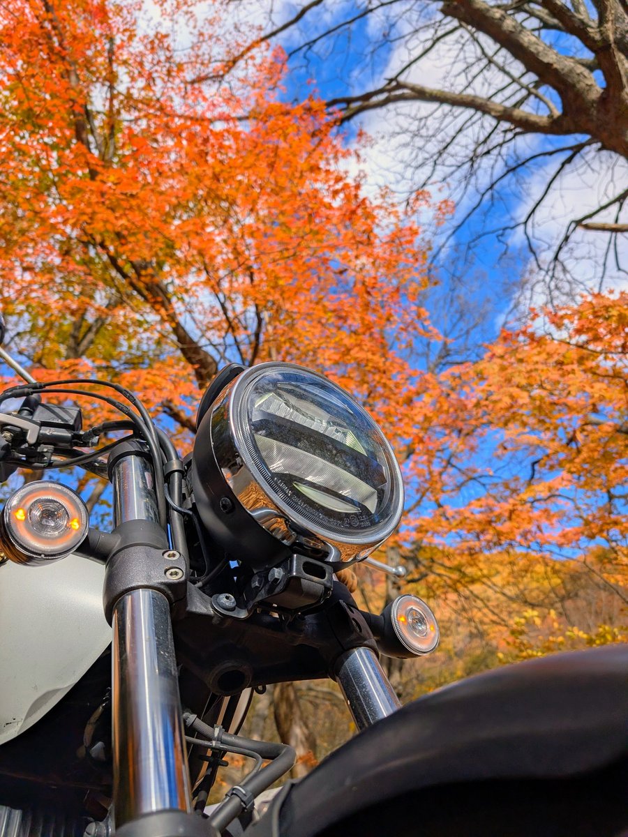 白吉/GB350/弱者 (@shirokichi9933) / Posts and Replies / X